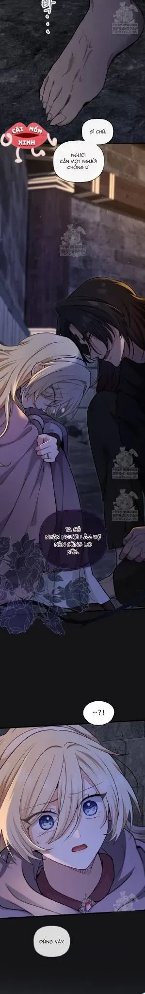 Bệ Hạ, Xin Hãy Quên Tôi Đi - Chapter 50 - Page 17