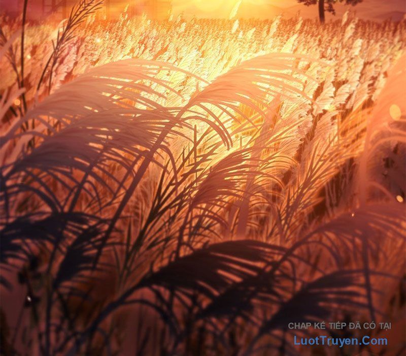 Kí Sự Hồi Quy - Chapter 168 - Page 144