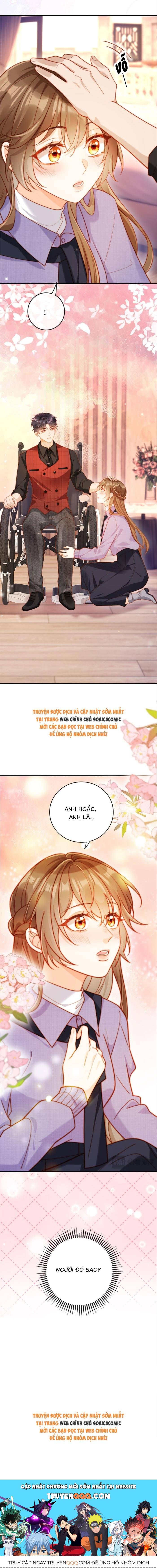 Nụ Hôn Xung Hỉ: Đại Lão Thực Vật Sống Lại Rồi! - Chapter 12 - Page 11