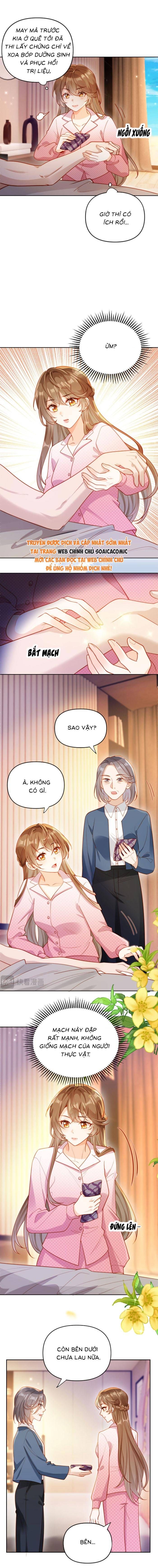 Nụ Hôn Xung Hỉ: Đại Lão Thực Vật Sống Lại Rồi! - Chapter 2 - Page 4