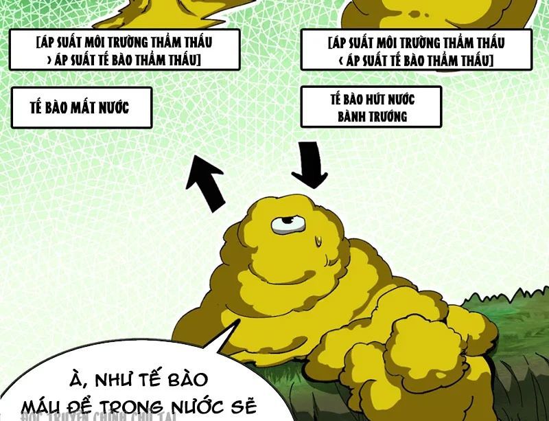 Bắt Đầu Từ Việc Trùng Sinh Thành Niêm Khuẩn - Chapter 5 - Page 18