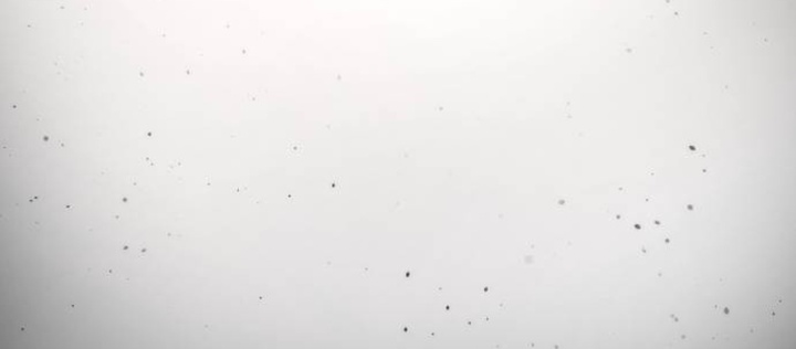 Sát Thủ Peter - Chapter 102.1 - Page 101