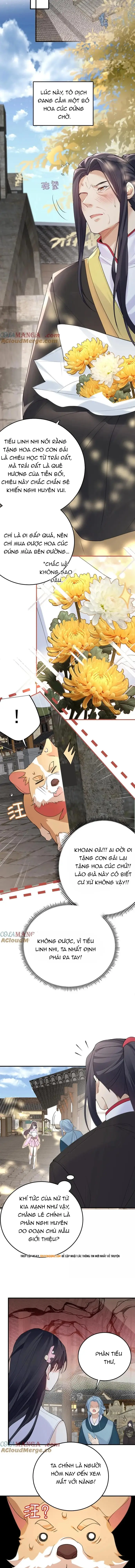 Ta Vô Địch Lúc Nào - Chapter 303 - Page 3