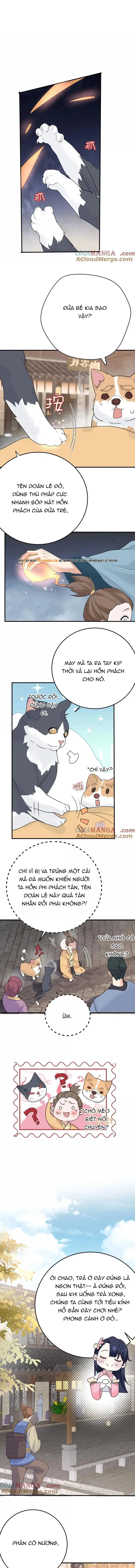 Ta Vô Địch Lúc Nào - Chapter 304 - Page 3