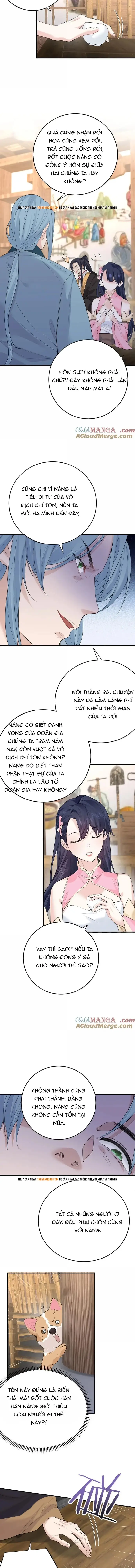 Ta Vô Địch Lúc Nào - Chapter 304 - Page 4