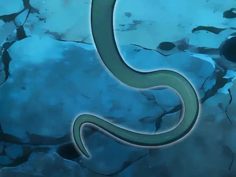 Thái Cổ Thập Hung: Người Khác Ngự Thú Ta Ngự Thú Nương - Chapter 104 - Page 77