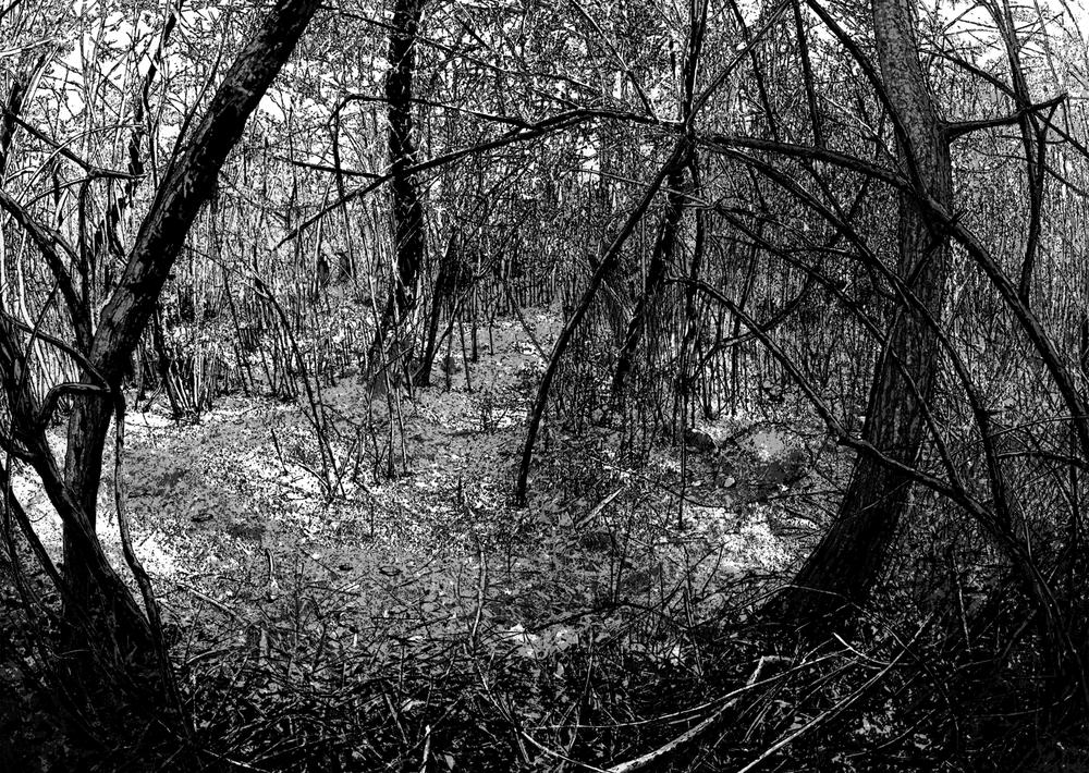 I Am A Hero - Chapter 36 - Page 4