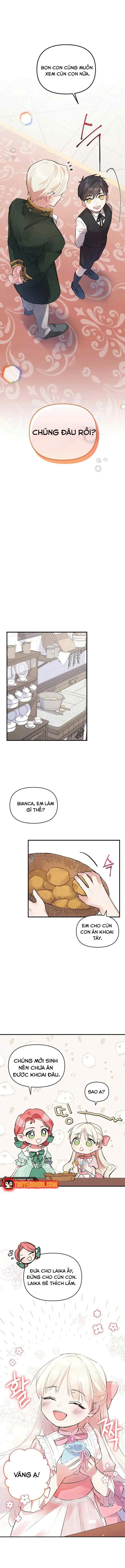 Đừng Thuần Hóa Cô Nàng Đanh Đá - Chapter 1 - Page 8