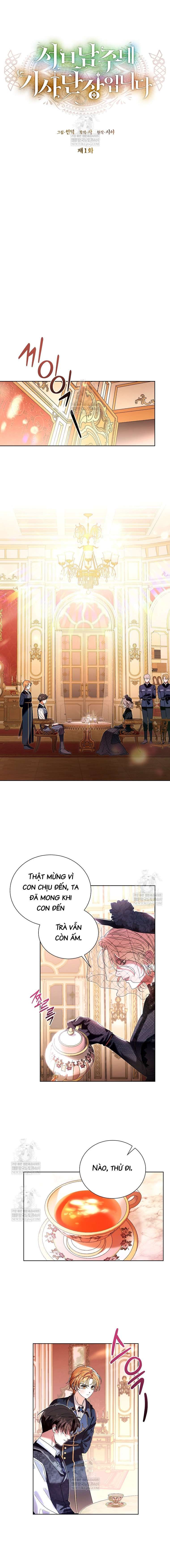 Đoàn Trưởng Kỵ Sĩ Của Nam Phụ - Chapter 1 - Page 8