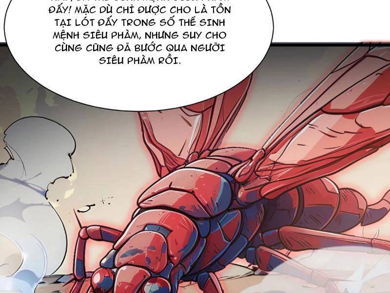 Khắp Thần Giới: Ta Hiến Tế Hàng Vạn Sinh Linh Trở Thành Thần - Chapter 11 - Page 92