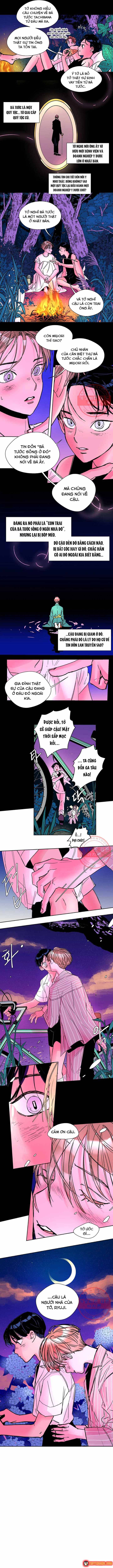 Bá Tước Tachibana - Chapter 14 - Page 7