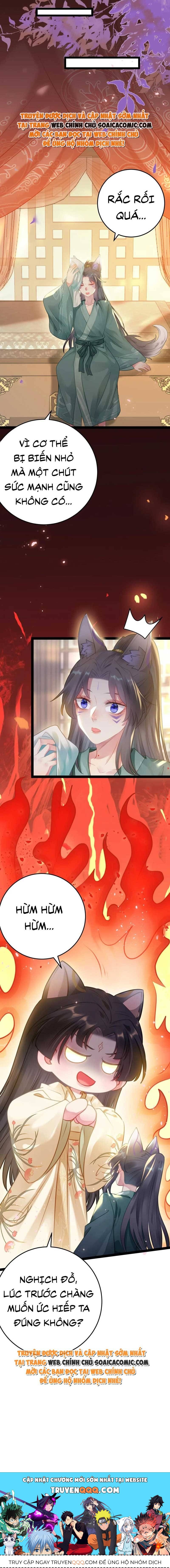 Nghịch Đồ Muốn Ức Hiếp Sư Phụ Mỗi Ngày - Chapter 114 - Page 11