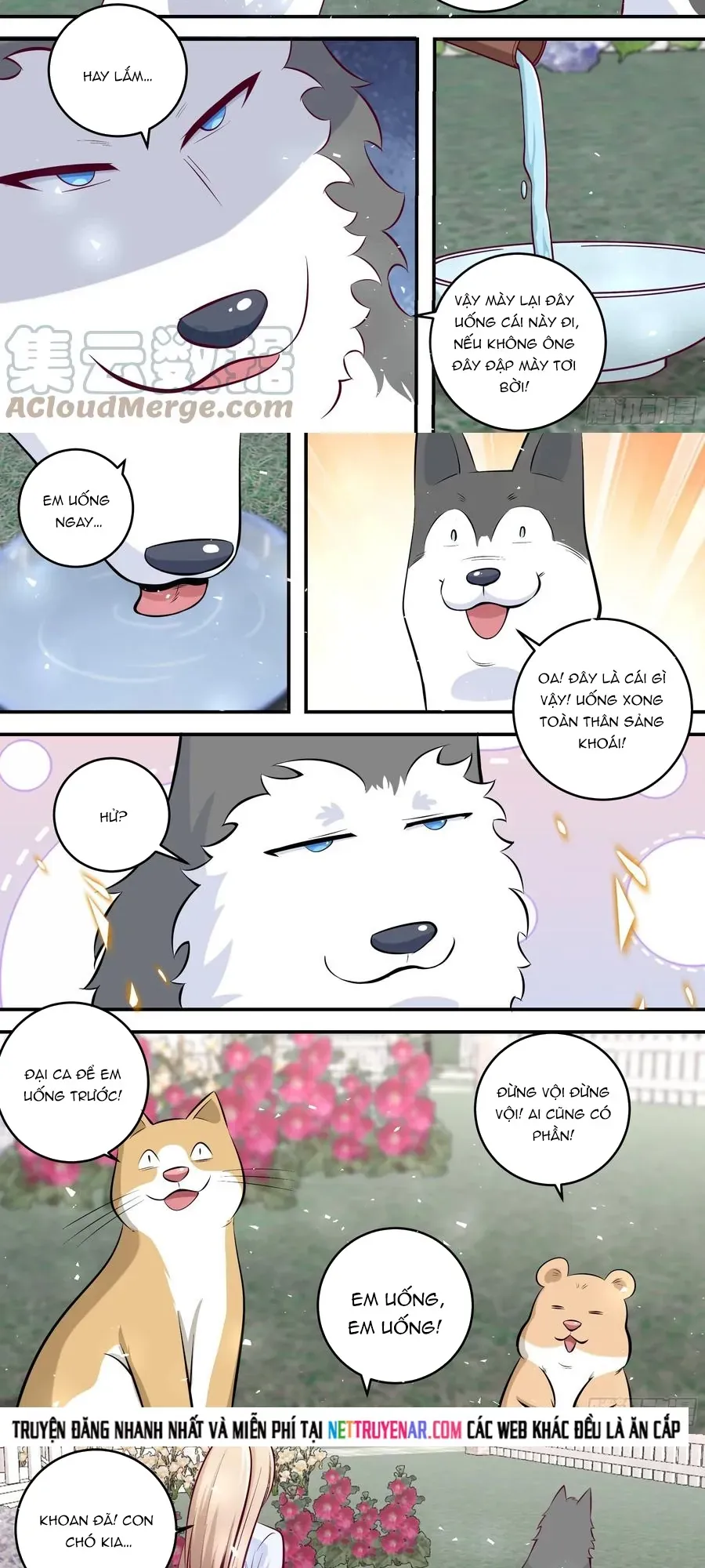 Trọng Sinh Thành Chó Của Nữ Thần - Chapter 454 - Page 7