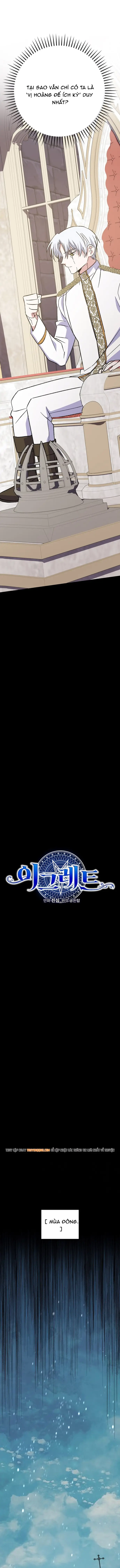 Nhà Hiền Triết Yigret - Chapter 128 - Page 5