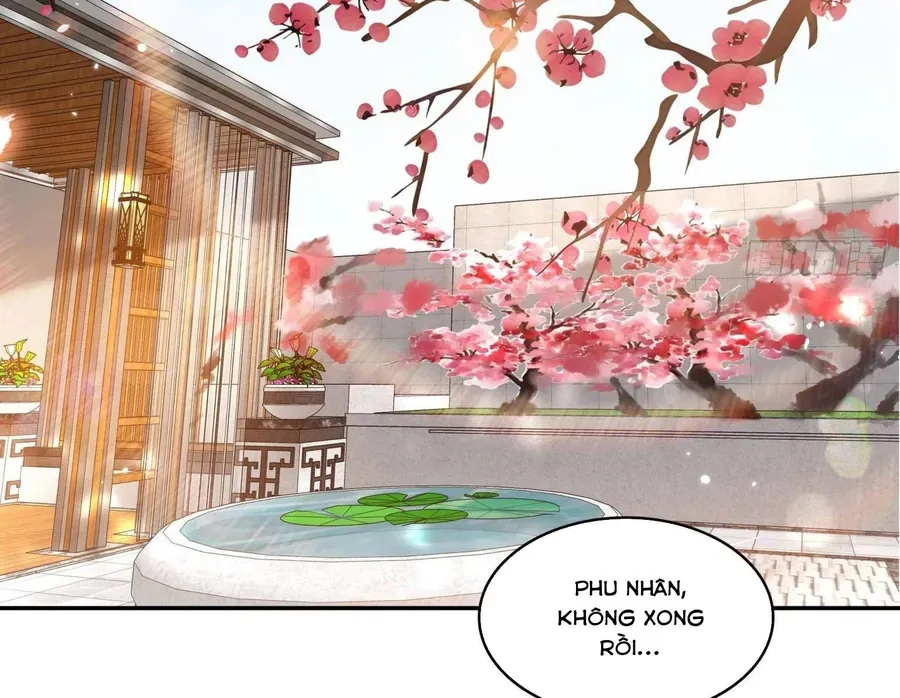 Hệt Như Hàn Quang Gặp Nắng Gắt - Chapter 581 - Page 17