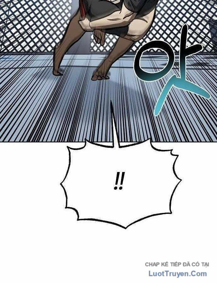 Vua Võ Đài - Chapter 174 - Page 17