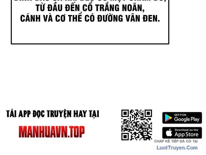 Xuyên Không Tới Tu Tiên Giới Làm Trù Thần - Chapter 16 - Page 15