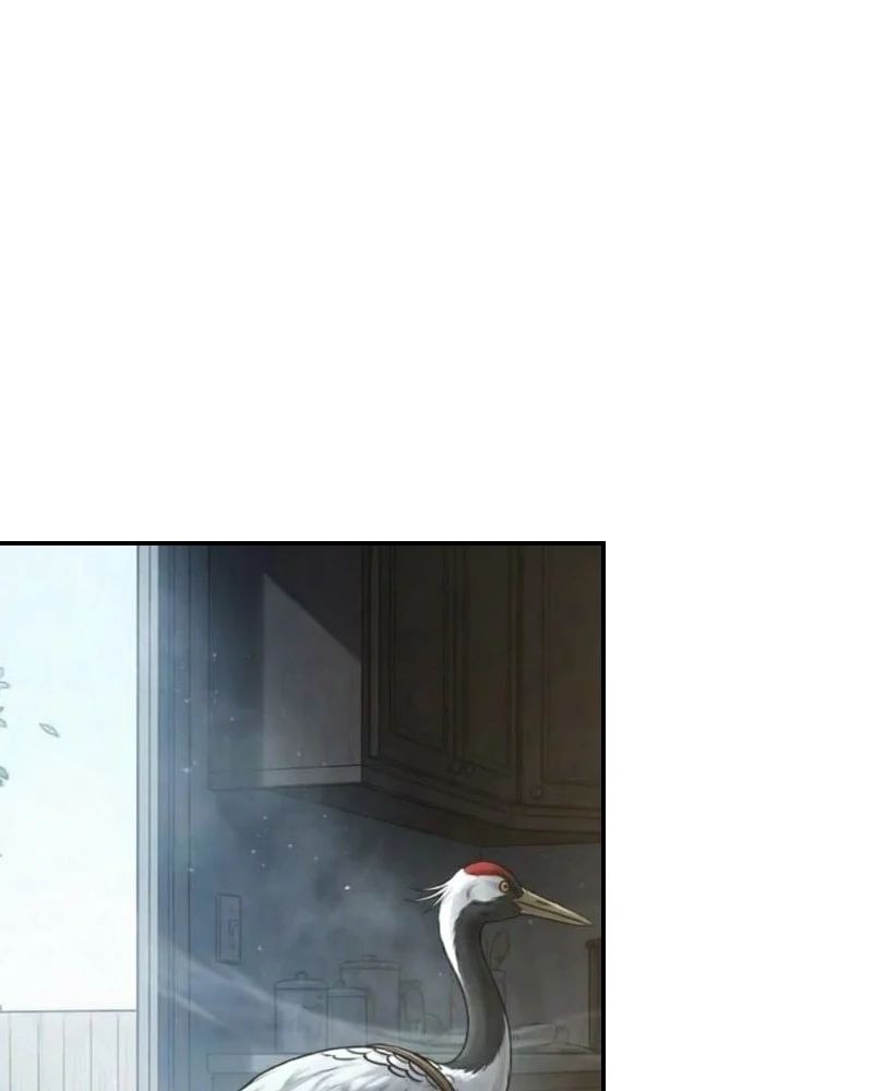 Xuyên Không Tới Tu Tiên Giới Làm Trù Thần - Chapter 18 - Page 17