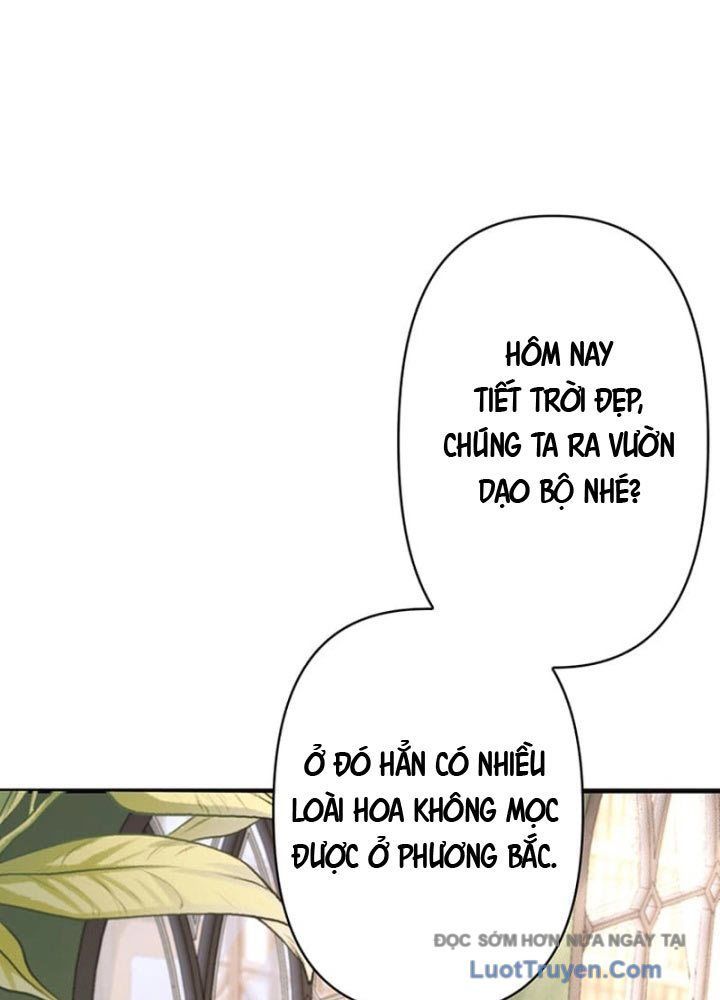 Siêu Trộm Kỹ Năng Cấp Cheat - Chapter 5 - Page 28