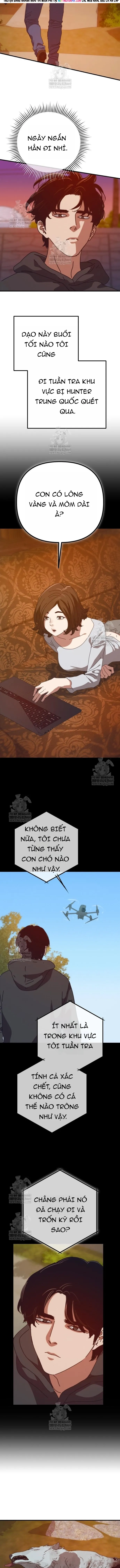 Ngôi Nhà Ẩn Ngày Tận Thế - Chapter 81 - Page 11