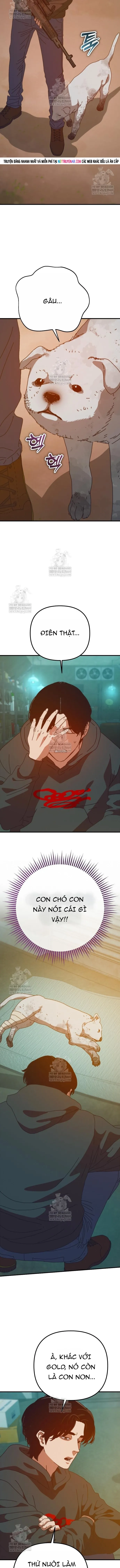 Ngôi Nhà Ẩn Ngày Tận Thế - Chapter 81 - Page 13