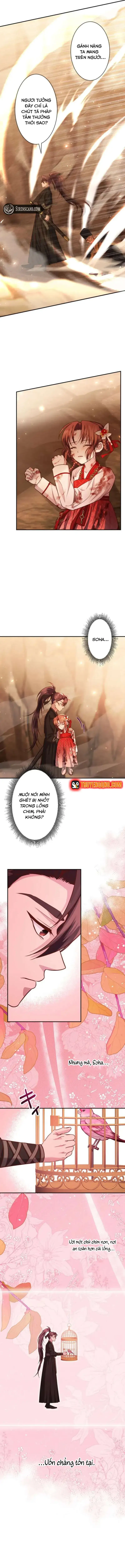 Trùng Sinh Về Kiếp Trước, Ta Phát Hiện Anh Trai Là Kẻ Đại Ác Nhân - Chapter 10 - Page 5