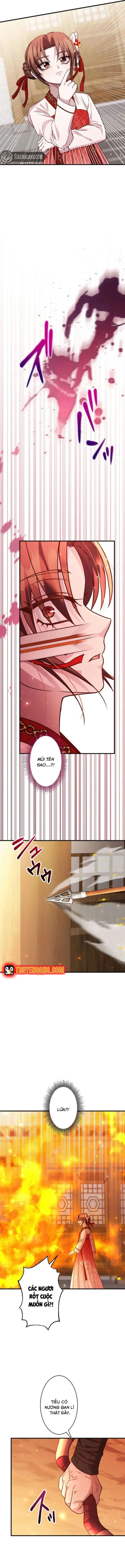 Trùng Sinh Về Kiếp Trước, Ta Phát Hiện Anh Trai Là Kẻ Đại Ác Nhân - Chapter 9 - Page 8