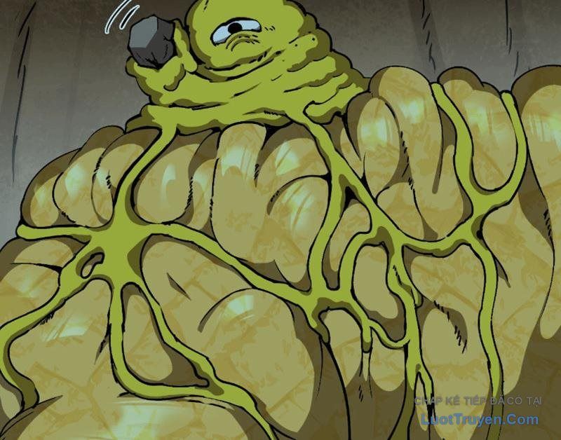 Bắt Đầu Từ Việc Trùng Sinh Thành Niêm Khuẩn - Chapter 10 - Page 152