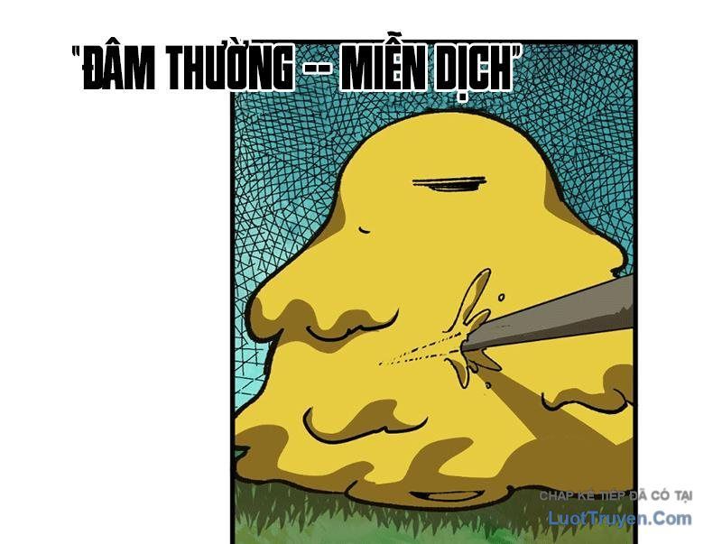 Bắt Đầu Từ Việc Trùng Sinh Thành Niêm Khuẩn - Chapter 7 - Page 37