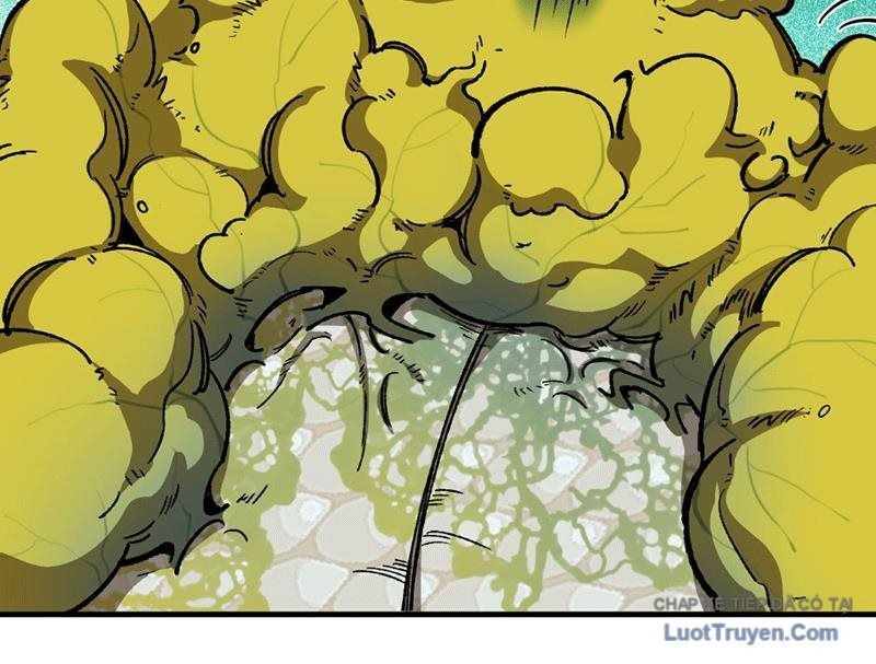 Bắt Đầu Từ Việc Trùng Sinh Thành Niêm Khuẩn - Chapter 8 - Page 55