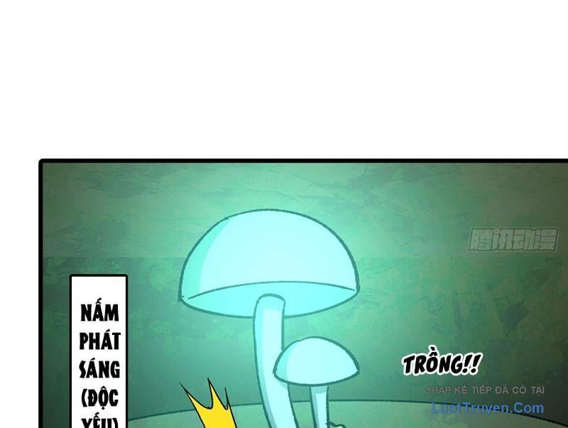 Bắt Đầu Từ Việc Trùng Sinh Thành Niêm Khuẩn - Chapter 9 - Page 16