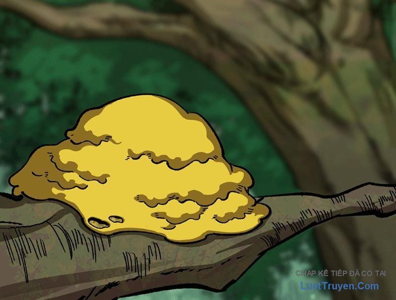 Bắt Đầu Từ Việc Trùng Sinh Thành Niêm Khuẩn - Chapter 9 - Page 62