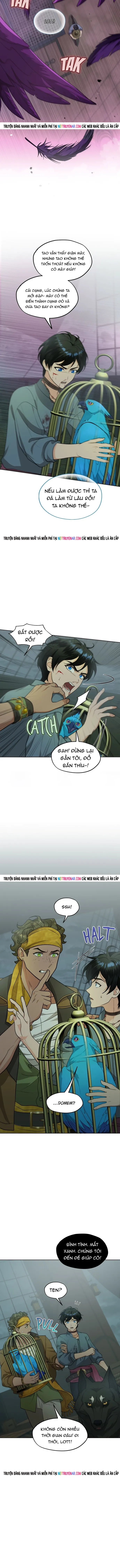 Hải Âu & Sói Hoang - Chapter 58 - Page 11