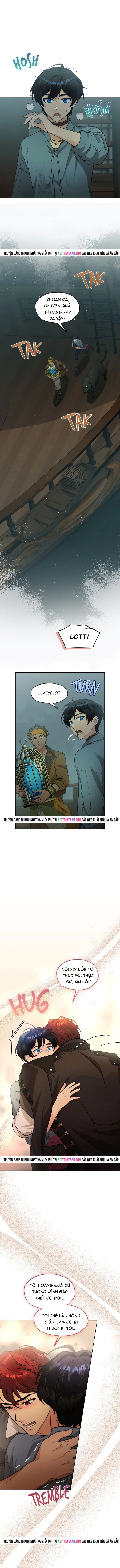 Hải Âu & Sói Hoang - Chapter 58 - Page 12