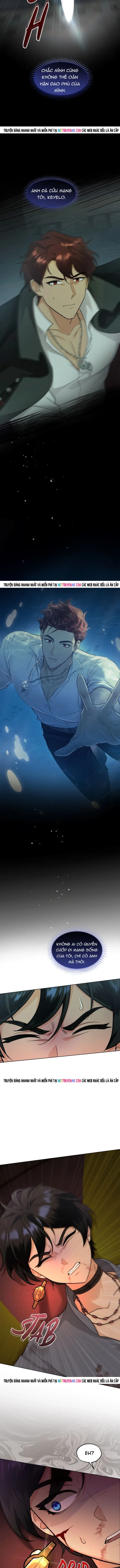 Hải Âu & Sói Hoang - Chapter 58 - Page 6