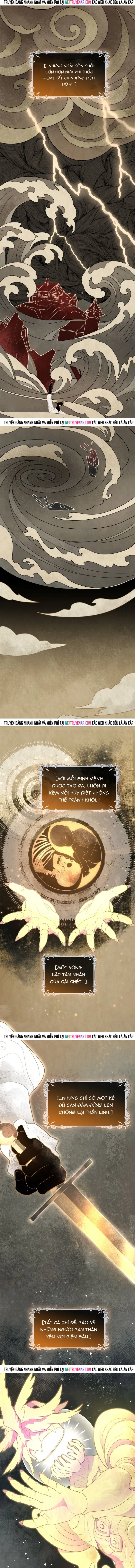 Hải Âu & Sói Hoang - Chapter 59 - Page 3