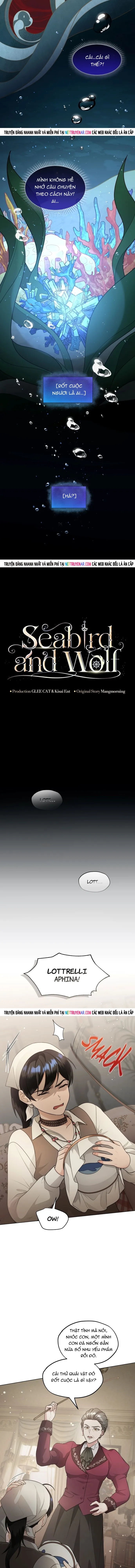 Hải Âu & Sói Hoang - Chapter 59 - Page 5