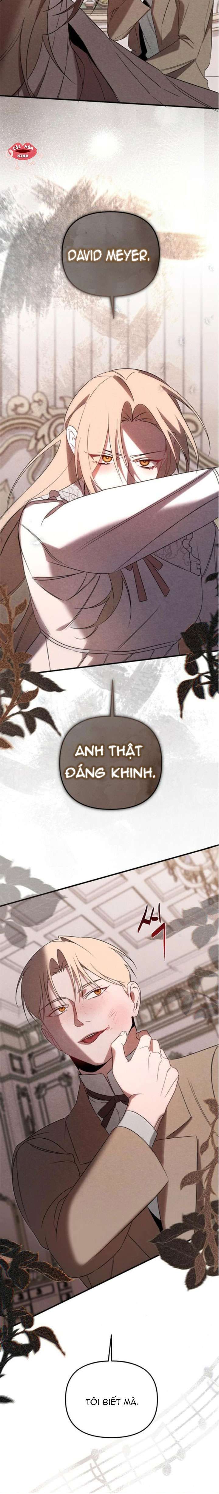 Nơi Đóa Hồng Vàng Úa Tàn - Chapter 23 - Page 11