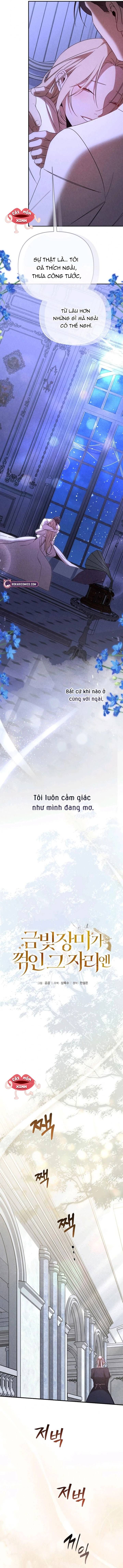 Nơi Đóa Hồng Vàng Úa Tàn - Chapter 24 - Page 8