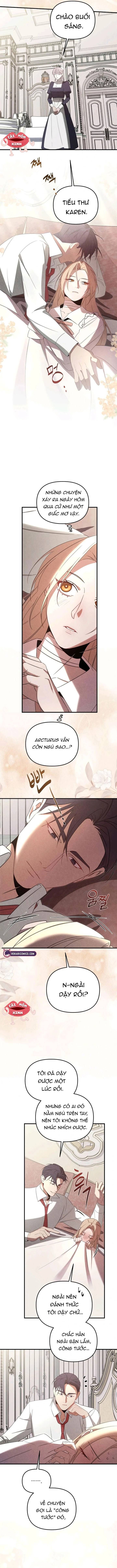 Nơi Đóa Hồng Vàng Úa Tàn - Chapter 24 - Page 9