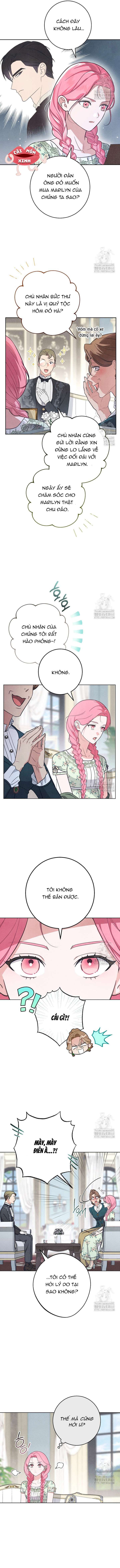 Nỗi Ám Ảnh Dành Cho Công Tước Phu Nhân - Chapter 2 - Page 3