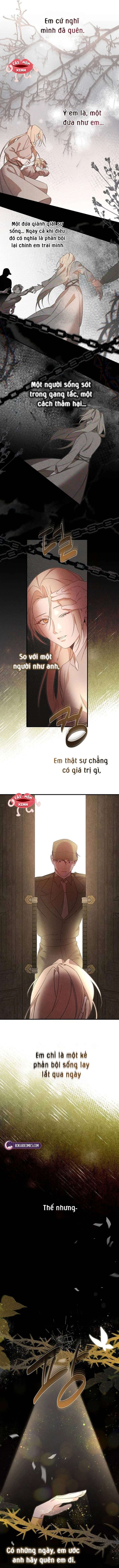 Nơi Đóa Hồng Vàng Úa Tàn - Chapter 25 - Page 11