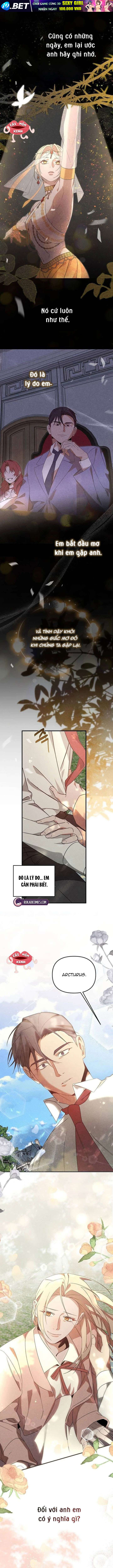 Nơi Đóa Hồng Vàng Úa Tàn - Chapter 25 - Page 12