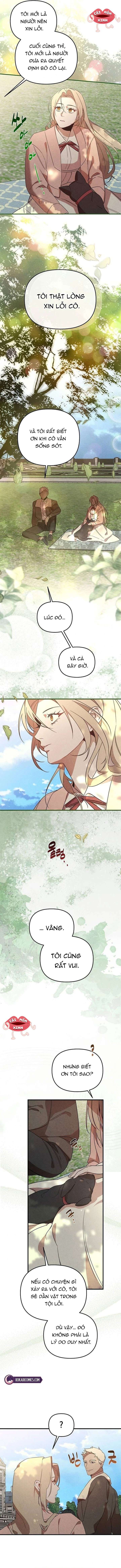 Nơi Đóa Hồng Vàng Úa Tàn - Chapter 25 - Page 5