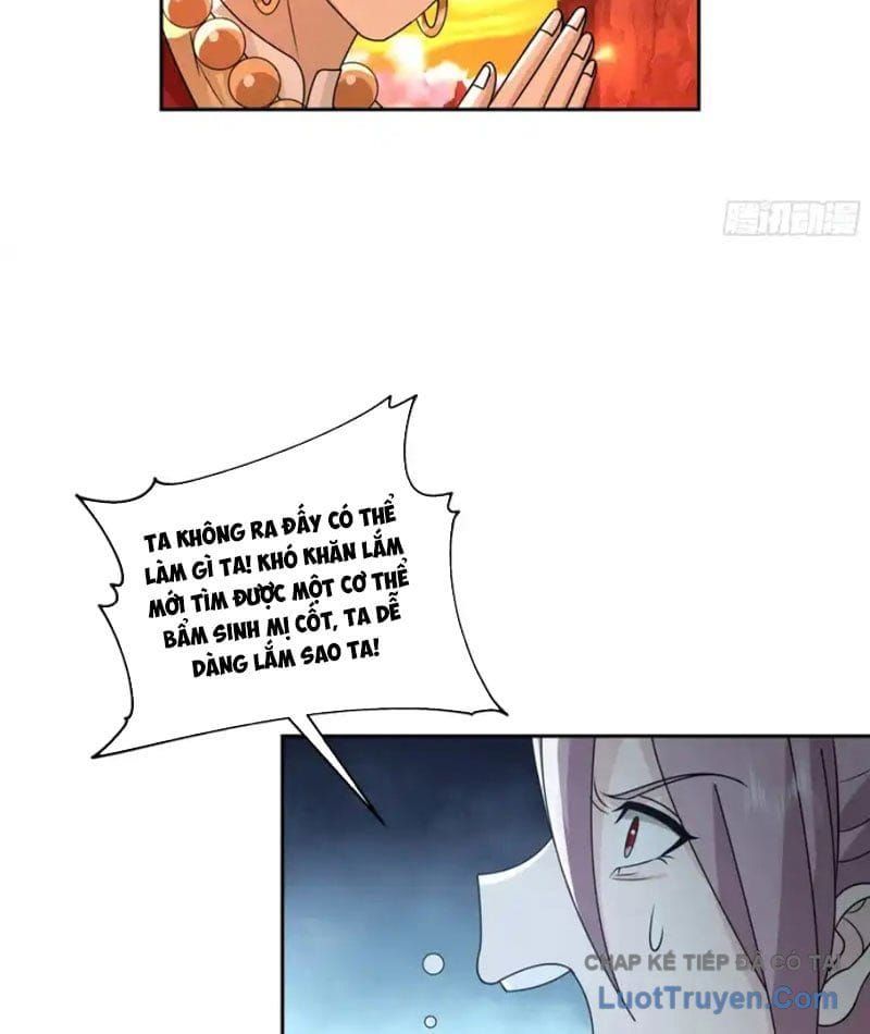 Nữ Phụ Tu Tiên Từ Chối Kịch Bản Pháo Hôi - Chapter 31 - Page 13