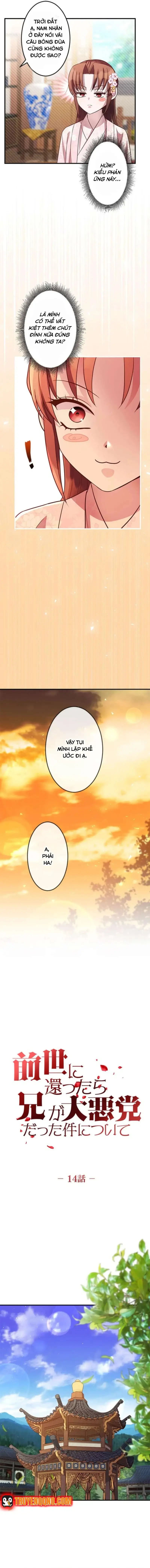 Trùng Sinh Về Kiếp Trước, Ta Phát Hiện Anh Trai Là Kẻ Đại Ác Nhân - Chapter 14 - Page 3