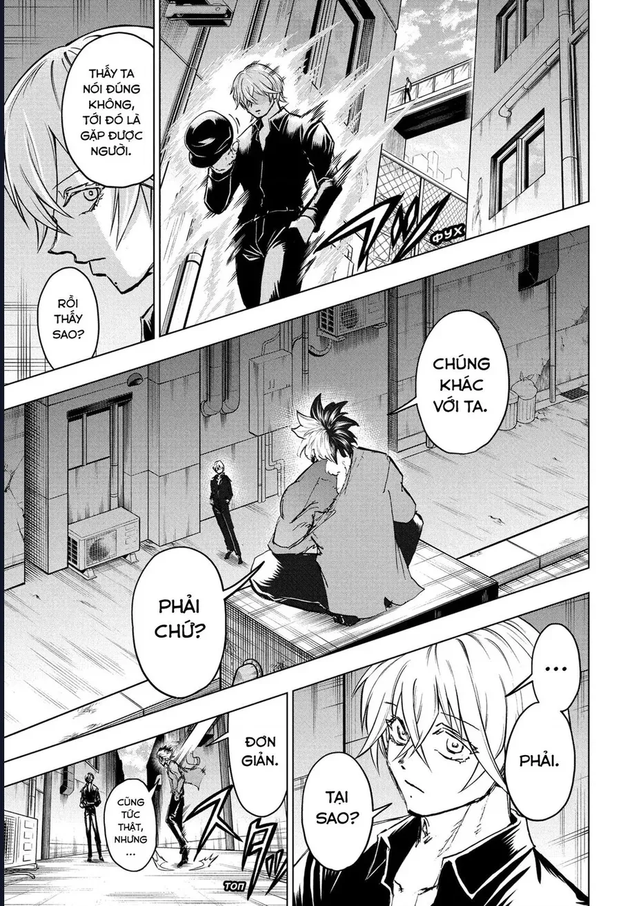 Bất Hạnh và Bất Tử - Chapter 238 - Page 17