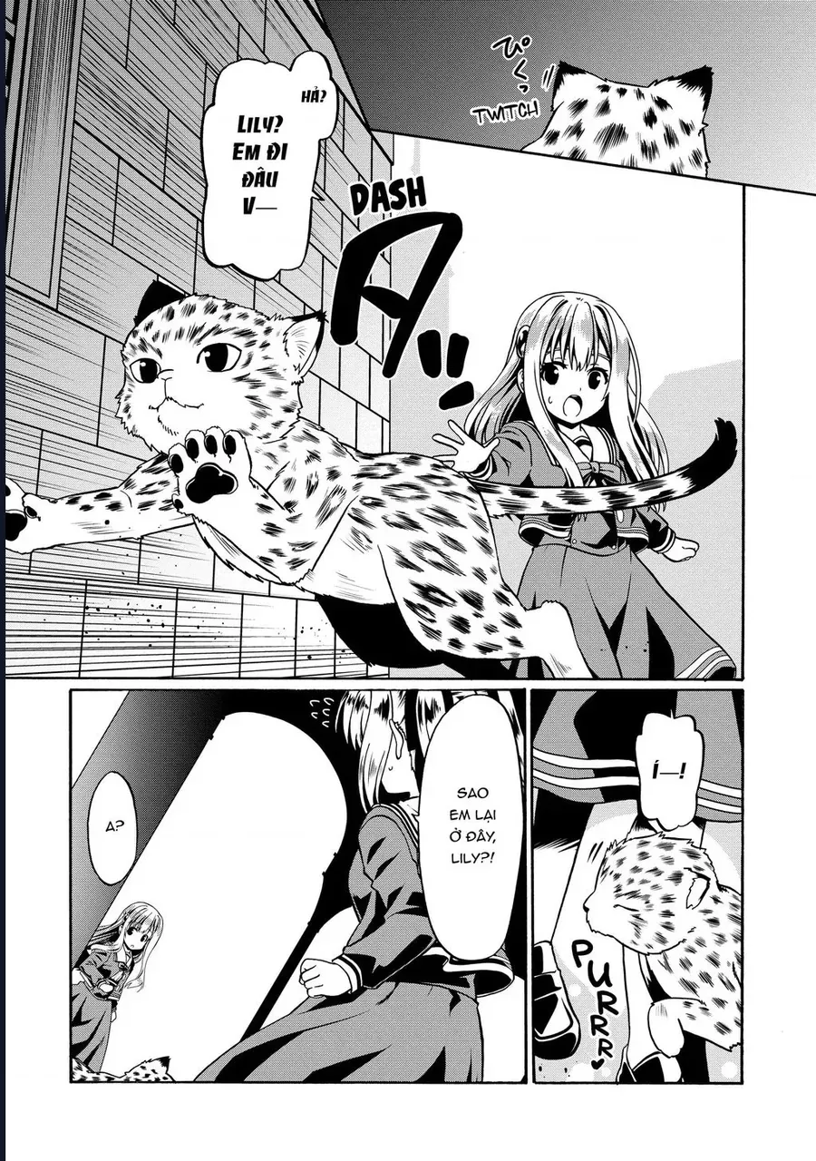 Tái Sinh Với Cơ Thể Bất Bại - Chapter 37 - Page 6