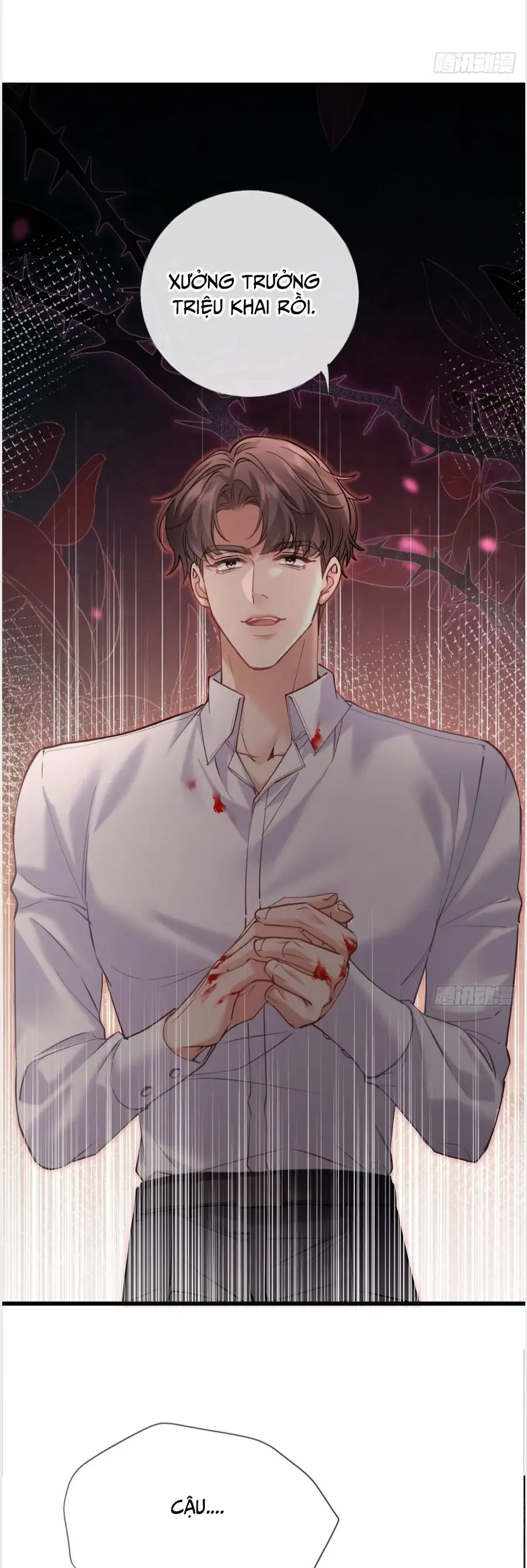 Từ Chối Hiến Thận, Tôi Trở Thành Mợ Út Của Người Yêu Cũ - Chapter 24 - Page 19