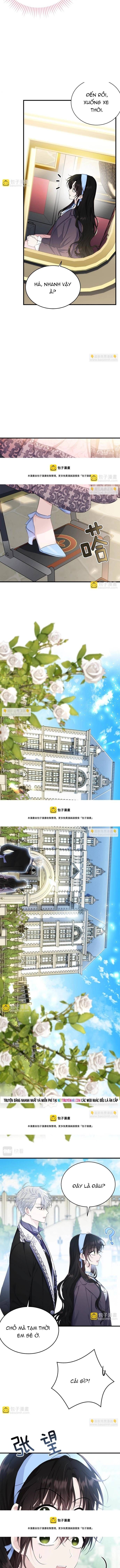 Tiểu Thư Mà Tôi Phục Vụ Biến Thành Thiếu Gia Rồi - Chapter 76 - Page 11